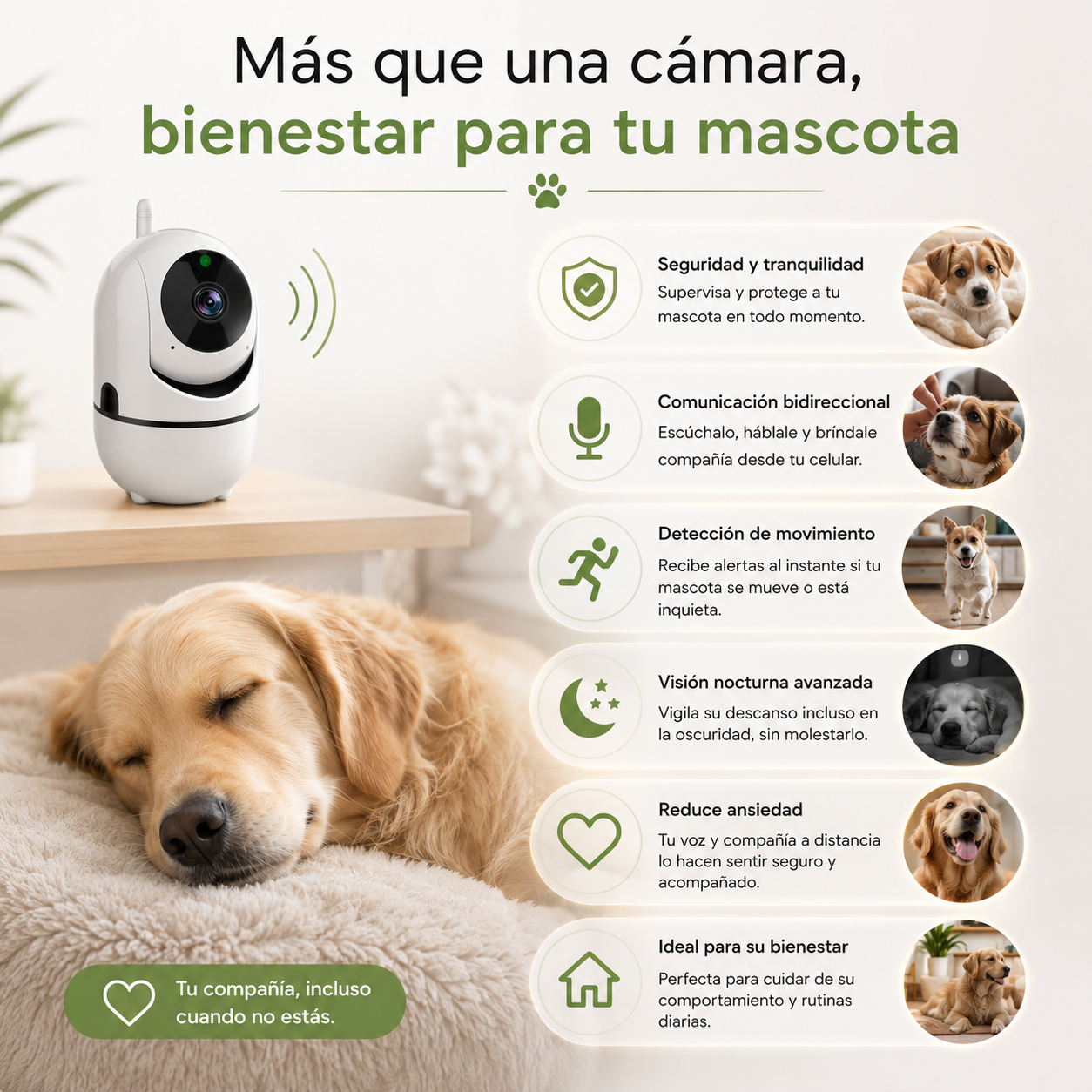 Cámara IP HD