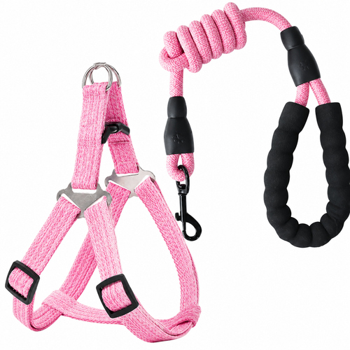 Harness with rope
